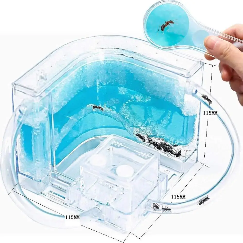 

Ant Farm Castle with Tubes, Habitat Educational & Learning Science Kit Toy for Kids & Adults - Allows Study of Ecosy