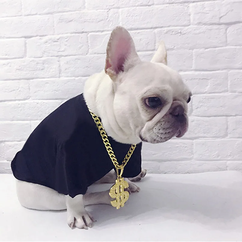 dog with necklace