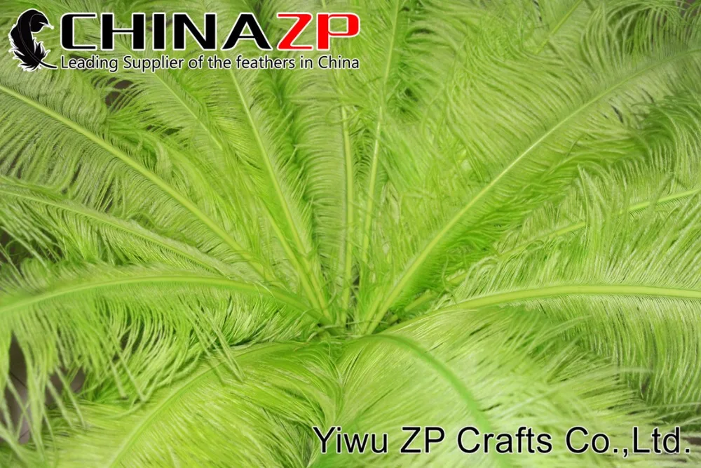 lime green ostrich feathers (10)