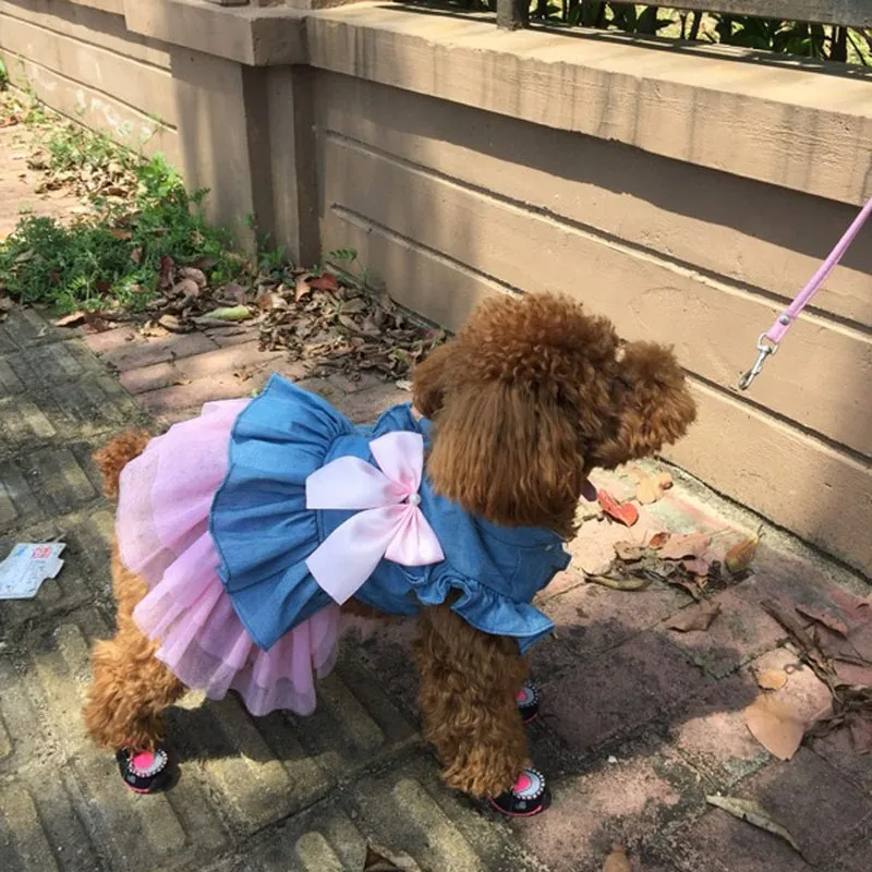 Summer Dog Dress Small Princess Pet Dog Clothes for Small Dog Wedding Dress Skirt Puppy Clothing Spring Pet Clothes Chihuahua (9)