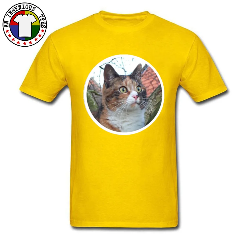 Beautiful Calico Cat New Design Short Sleeve Normal T-Shirt 100% Cotton Crewneck Men Tops Shirts Comics Sweatshirts Summer Fall Beautiful Calico Cat yellow