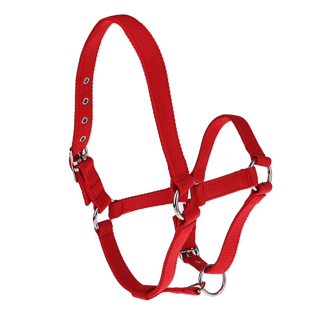 Strong and Durable Adjustable Webbing Equestrian Horse Halter Horse Riding Wear Adjustable Equestrian Horse Halter 
