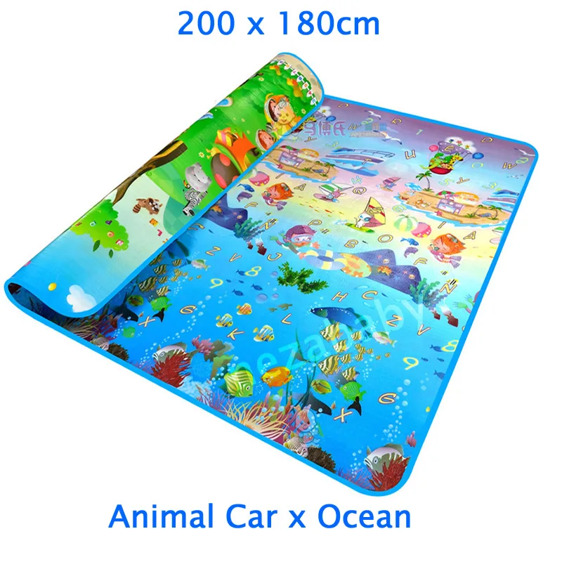 Animal Car x Ocean