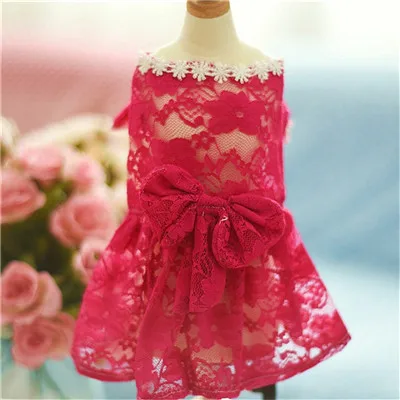 Платье в стиле принцессы для собаки, кружевные платья с бантом для маленьких собак, летняя одежда для собак, XS-XXL, 5 цветов, розовый/красный костюм для собаки, свадебное платье T3 - Цвет: 2