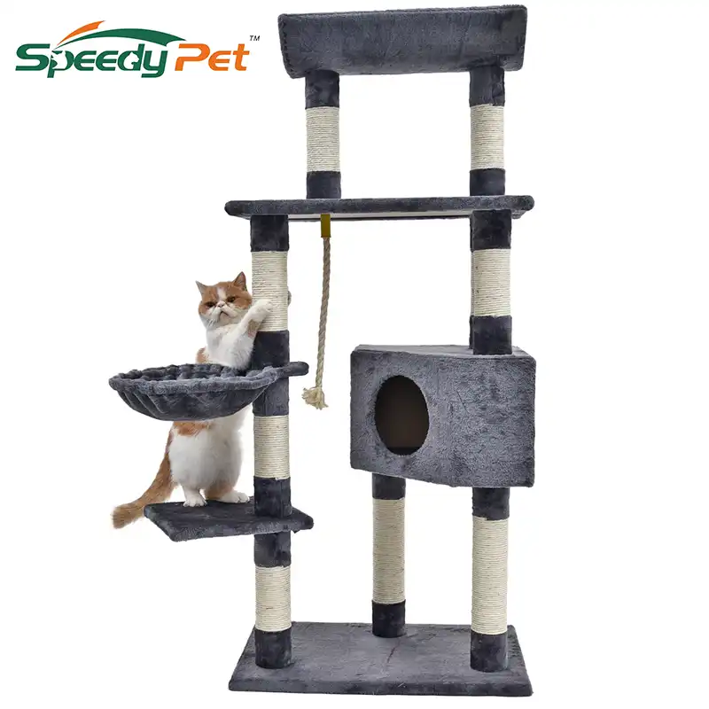 climbing frames for cats