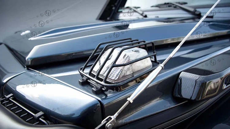 w463 light cover10