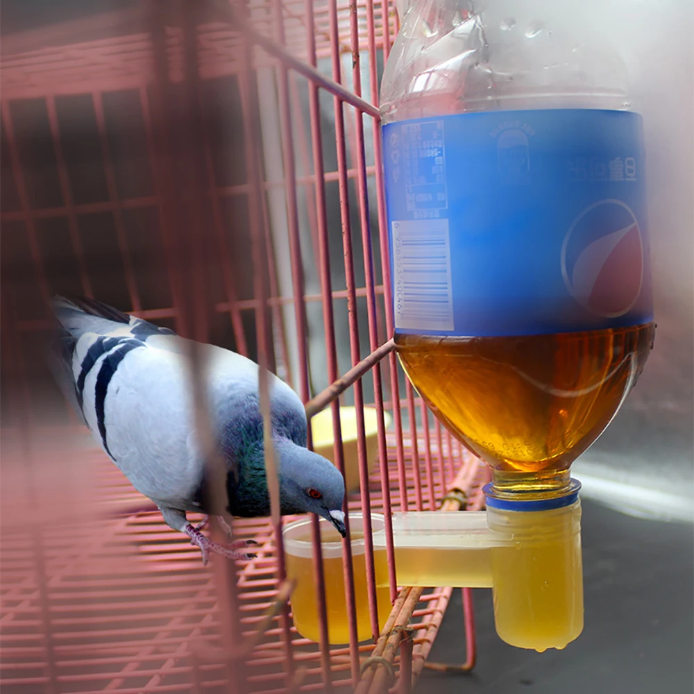 

4PCS poultry waterer birds water fountain birds cup quail pigeon product budgies fountain plastic doves drinkers pareot supplies