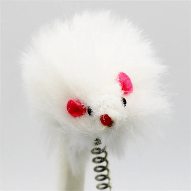 PET Bergan Turbo Scratcher01