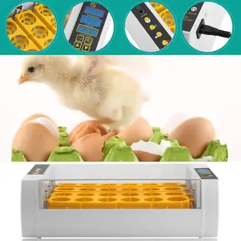 

FR Practical 24 Eggs Large Capacity Mini Incubator For Chicken Poultry Quail Turkey Eggs Home Use Automatic Egg Turning EU Plug