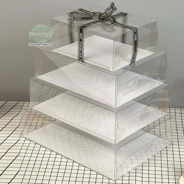 Large Rectangular Cake Carrier . Perfect Cake Display / Container