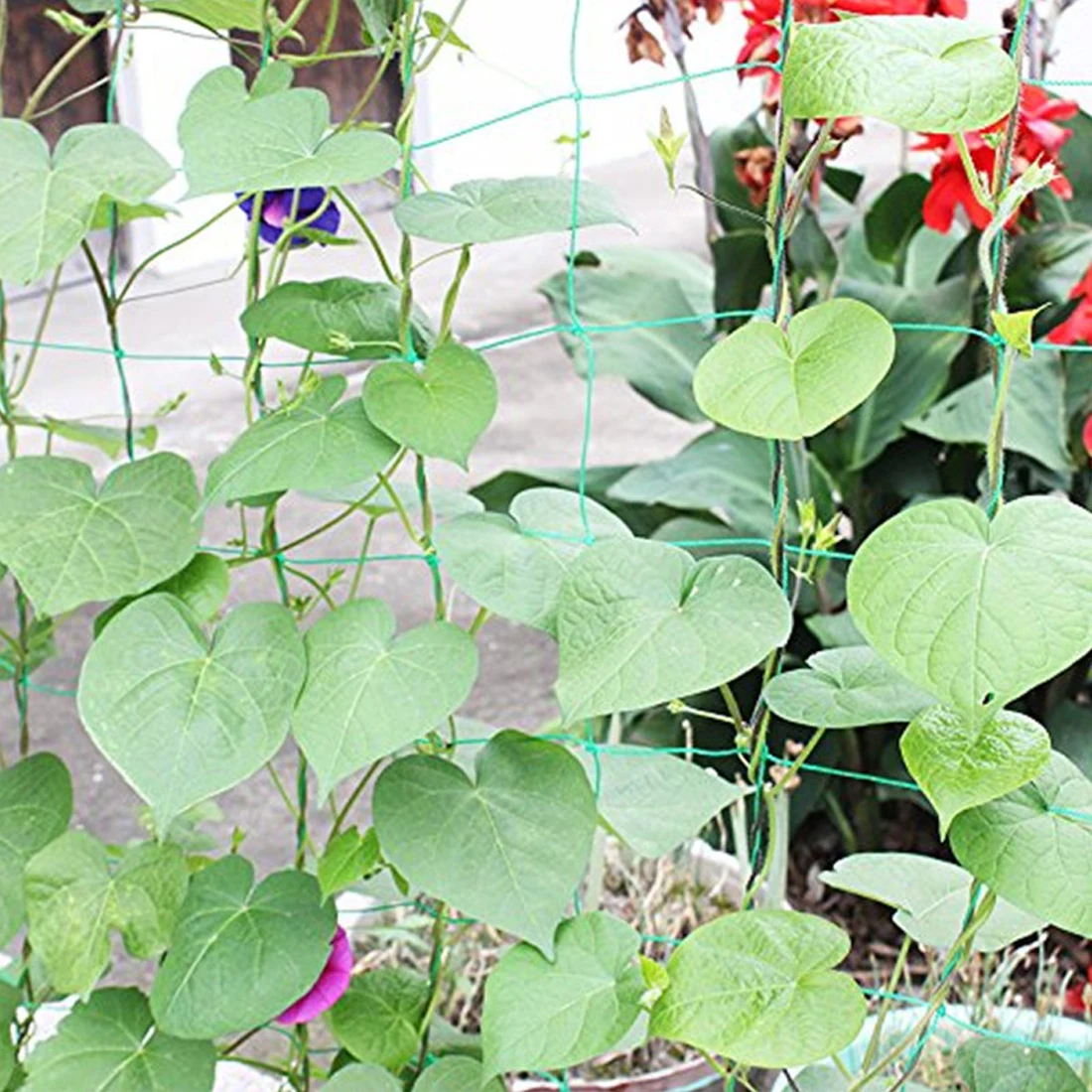 0.9*1.8m Garden Fence Millipore Nylon Net Climbing Frame Gardening Net Plant Fence Anti-bird Net Vegetable Plant Trellis Netting 0.9*1.8m Garden Fence Millipore Nylon Net Climbing Frame Gardening Net Plant Fence Anti-bird Net Vegetable Plant Trellis Netting