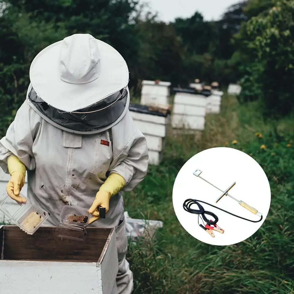 12 В 150 Вт инструмент пчеловода Mite Oxalic кислота испаритель безопасный Пчеловодство инструменты фермы кислотная коробка