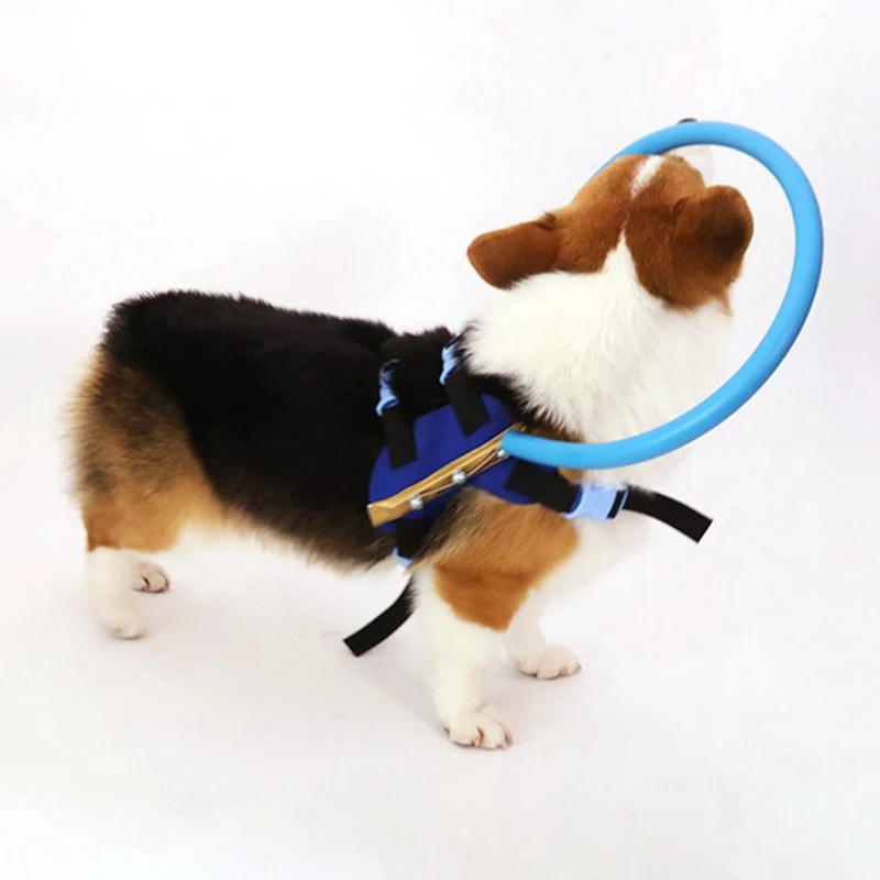 

Blind Pet Anti-collision Ring Collar Safe Halo Harness For Blind Dogs Scorpion Cataract Animal Protection Circle Guide Dog