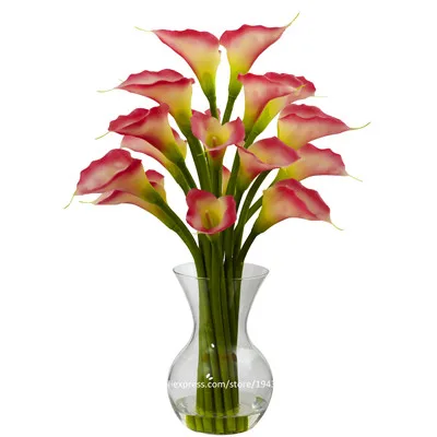 Calla lily coupons