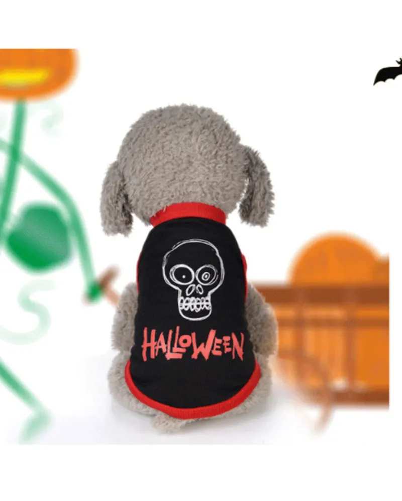 winter dog coat franse bulldog