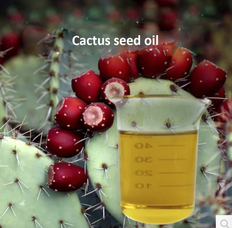 Cosmetics massage oil 10g/bottle Cactus seed oil essential base oil