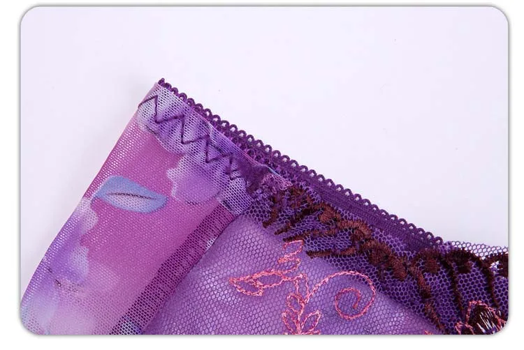 Women Underwear Sexy Lace Women's Panties Transparent Briefs Seamless Panties Lingerie Female Pants Embroidery Rose Underpants (8)