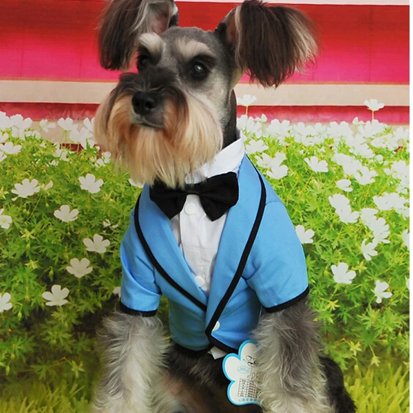 Hot Sale Yorkie Clothes Black Bow Tie Applique Fashion Formal Tuxedo