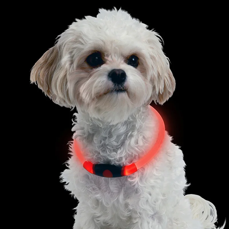 LED dog collar illuminates glowing puppy night safety pet collar adjustable dog collar for small to medium sized dogs- TP