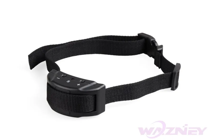 dor collar--4