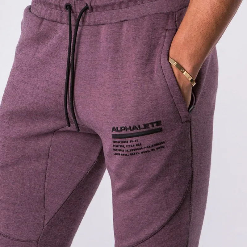 ALPHALETE бренд осень зима фитнес мужские спортивные брюки Модные хлопковые узкие брюки для бодибилдинга высокого качества Jogger Брюки