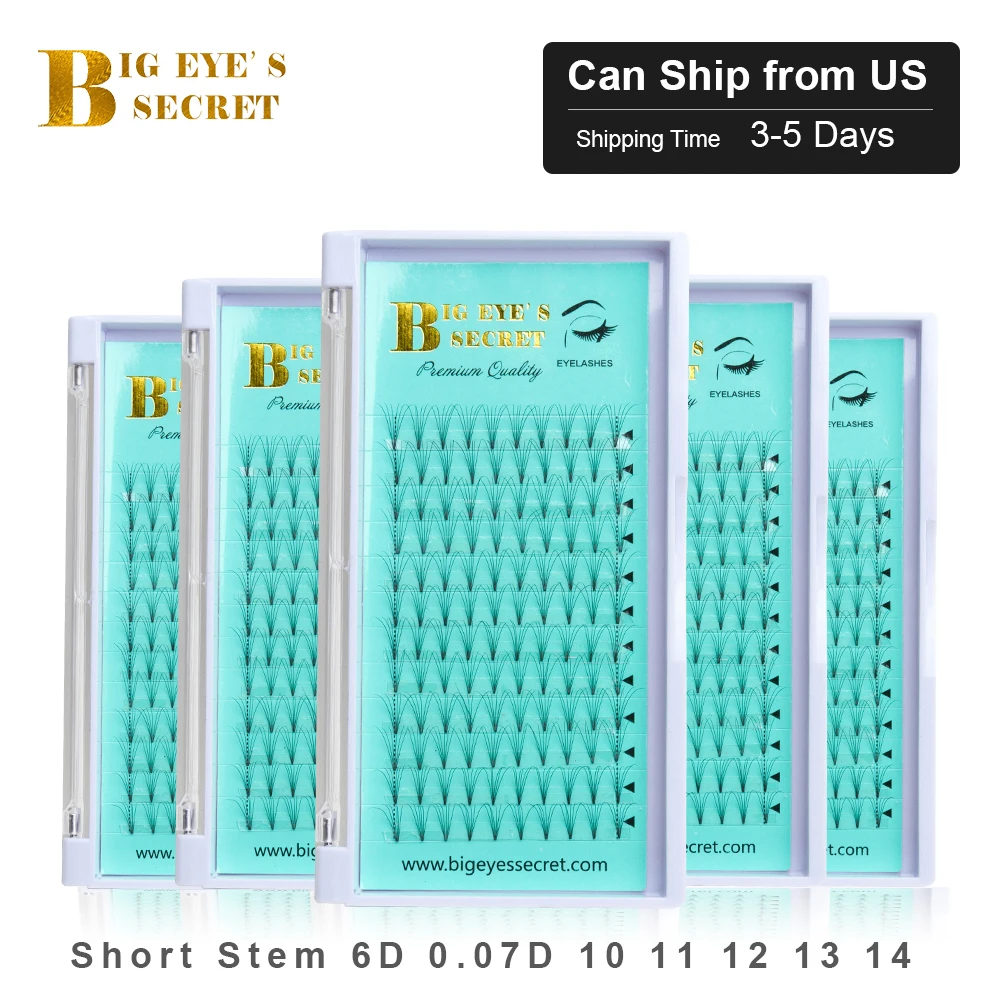 Big Eye's Secret 5trays/lot Premade Fans ship from US warehouse 6D Faux Mink Pew Made Volume Lashes Eyelash Extensions | Красота и