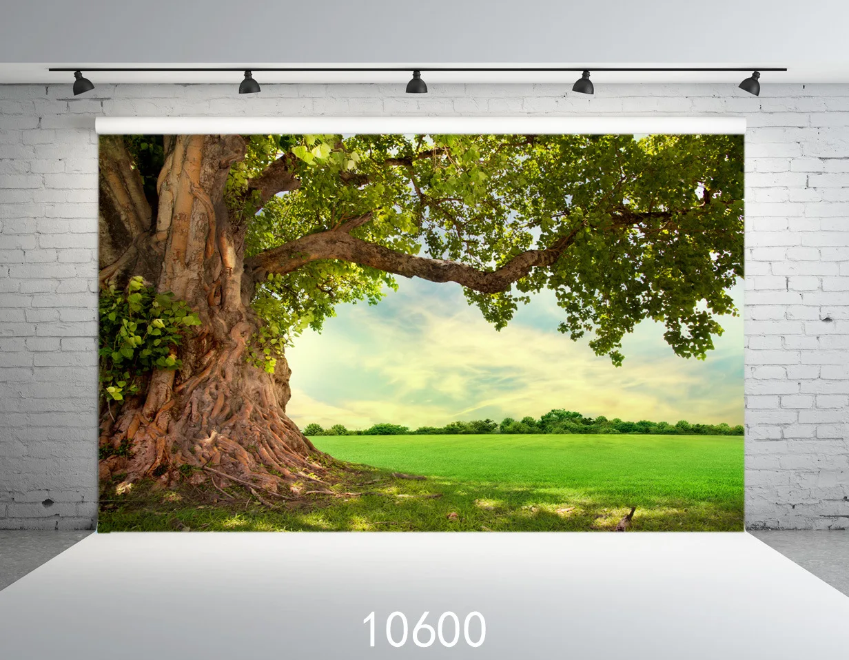 Scenery Tree Photography Backdrops Grass Lawn Photo Studio Background | Электроника