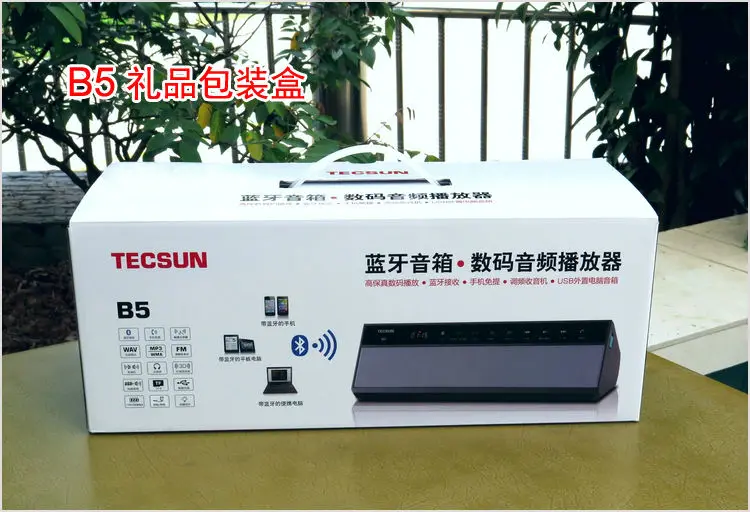TECSUN B5 fm-радио/Hi-Fi Цифровой музыкальный плеер/Bluetooth приемник/мобильный телефон Hands Free/громкоговоритель коробка через USB разъем
