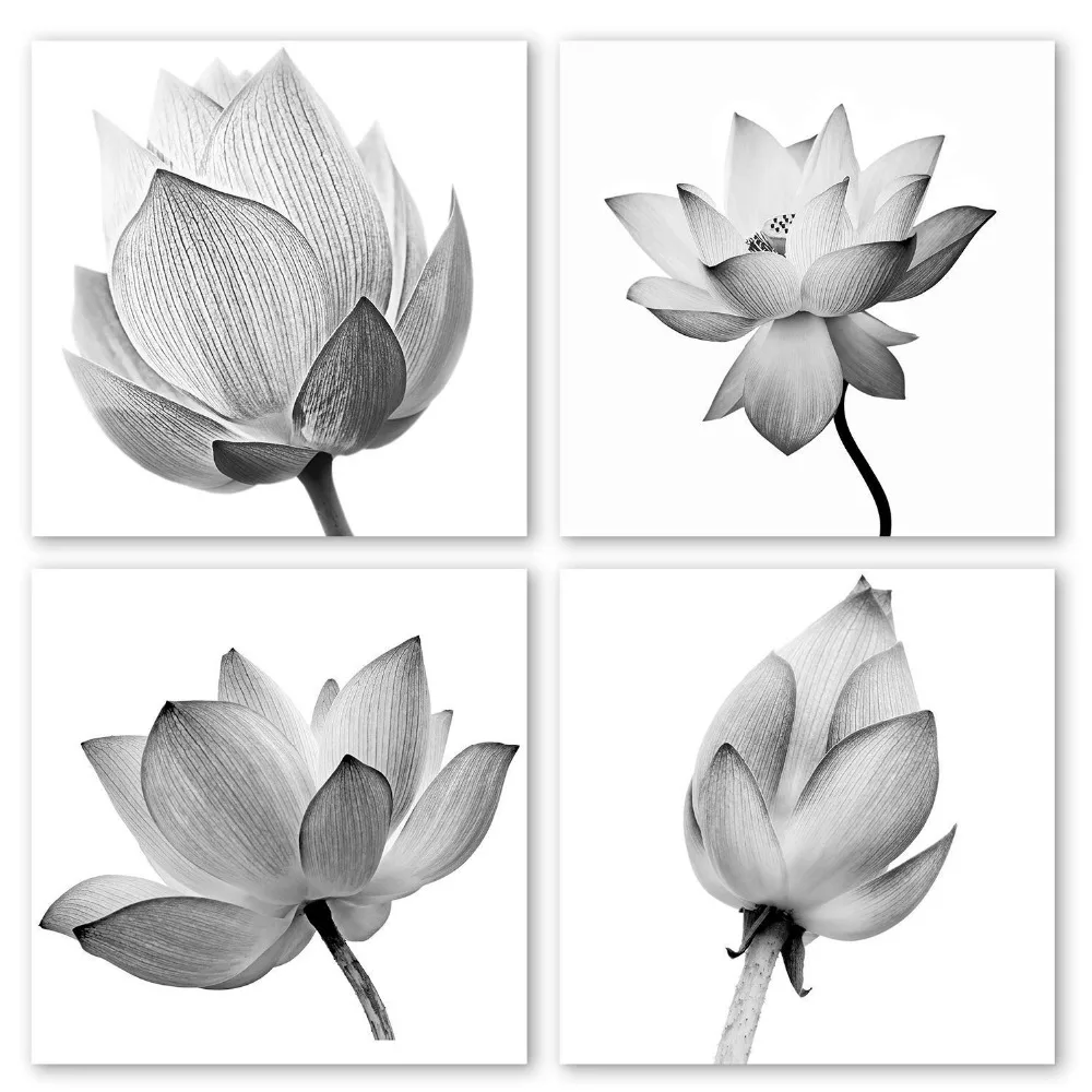 71Ugwz8BP2L._SL1500_