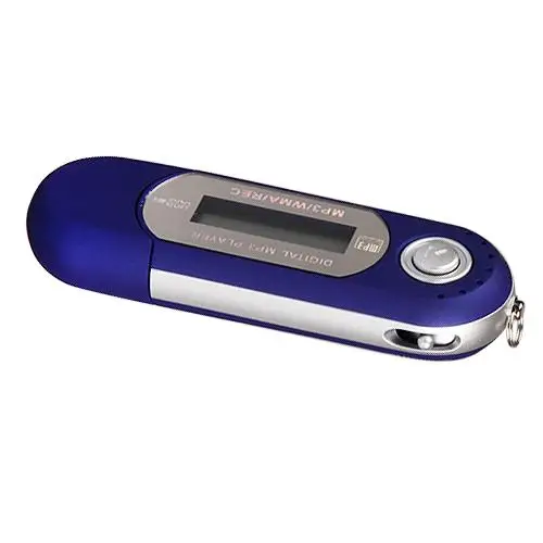 MEMTEQ Портативный MP3 плеер FM радио USB мини ЖК экран Поддержка 8 ГБ флэш накопитель