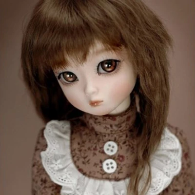 bjd elf doll