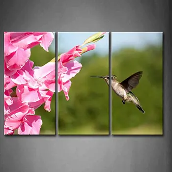 

3 Panel Wall Art Purple Hummingbird Hovering A Gladiolus Flower Pink Painting Pictures Print On Canvas Animal The Picture