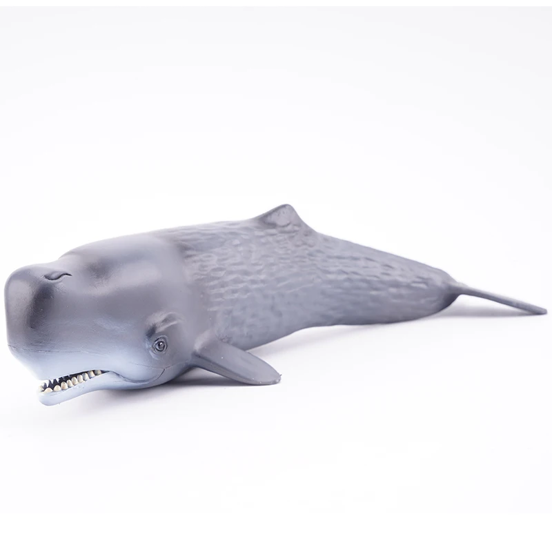 

Free Shipping/Mofun/Plastic Sea Marine Animal Toy/Sperm Whale Simulation Model/Educational Collection/Gift For Children