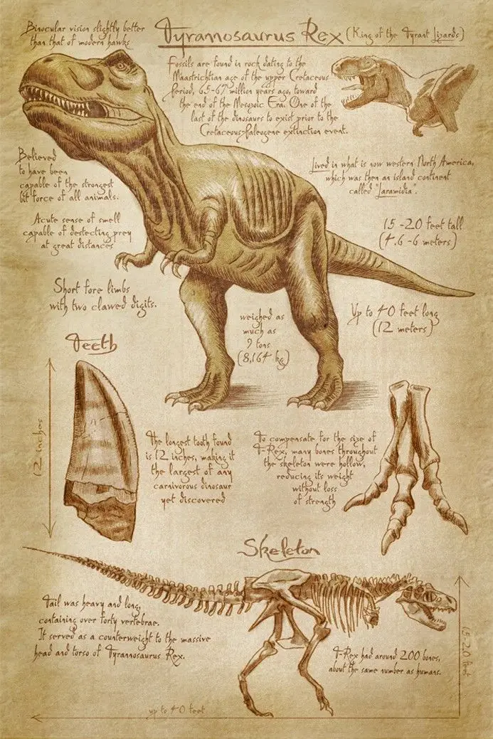 Home Decor Tyrannosaurus Rex Dinosaur-Silk Art Poster Wall Sicker Decoration Gift
