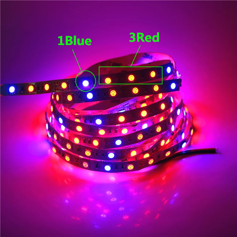 

0.5M 1M 2M 3M 4M 5M Plant Grow Light 5050 LED Flexible Strip 12V Red:Blue 3:1 4:1 5:1 Greenhouse Hydroponic Plant Growing Lamp