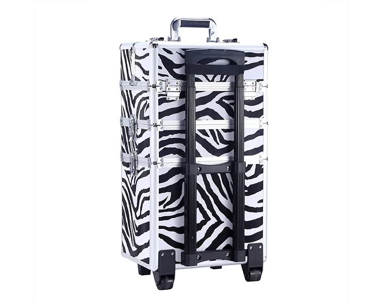 case (5)
