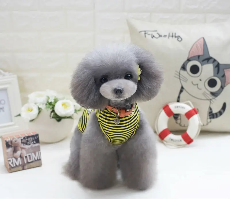 Y12_Newly_design_Summer_Pet_dog_Shirt_Vest_clothes_Fashion_Puppy_dog_Cats_Boy_Breathable_Striped_Vest_T_Shirts_for_Yorkshire_ (9)