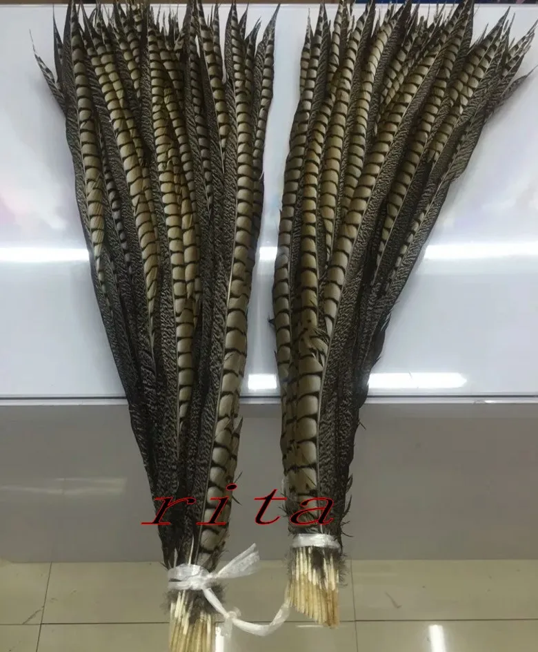 100pcs40-45cm16-18inch amherst перья фазана Природные Перья Шлейф объемные украшения из перьев