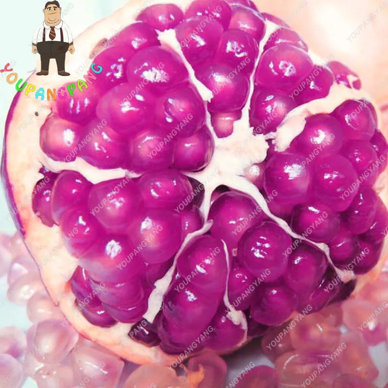 30pcs Blue Pomegranate Seeds Best Seeds Online Free Shipping