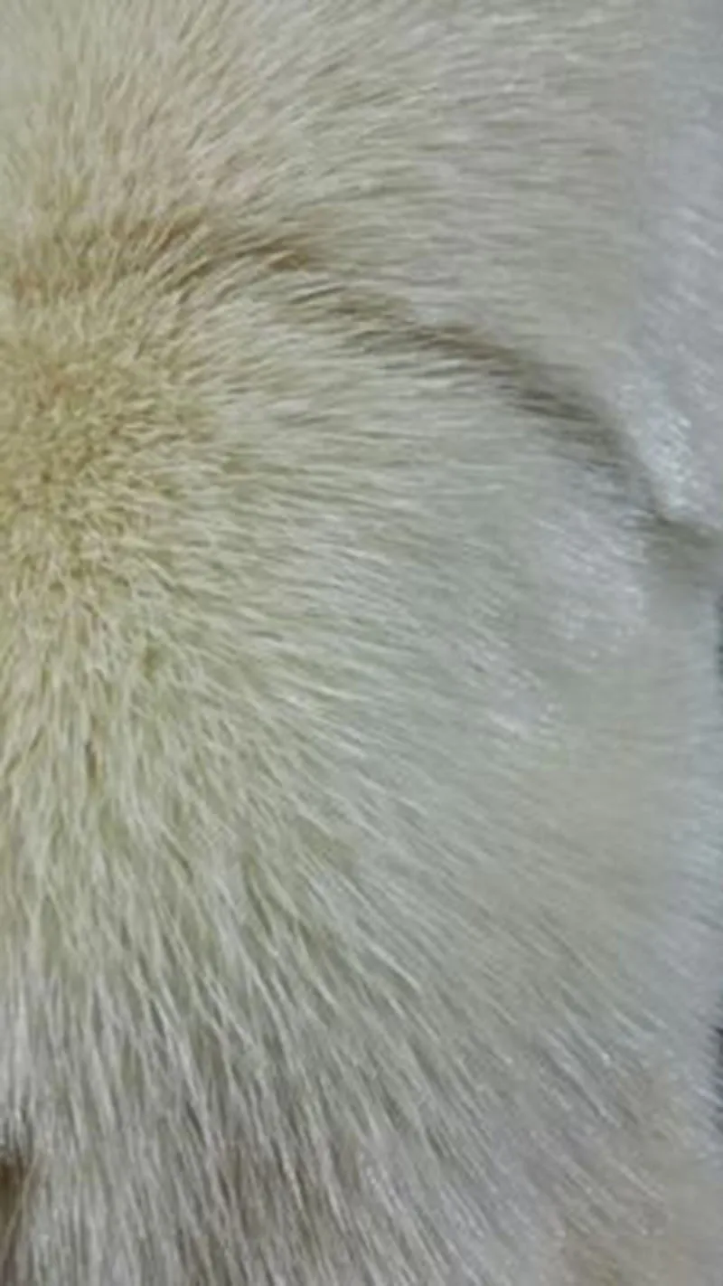 TB2bfU5cKJ8puFjy1XbXXagqVXa_!!0-rate.jpg_400x400
