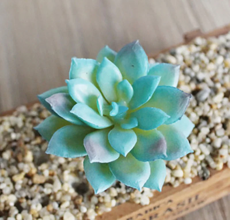 Artificial Succulent Plants Home Decoration Green Blue Plastic Faux Cactus Succulents Simulation Fake Plant Office Decoration - Цвет: tianshuanglian  blue