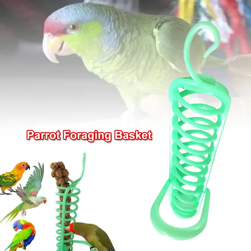 كيف تنام الطيور وما هي عاداتهم اثناء النوم سحر الكون