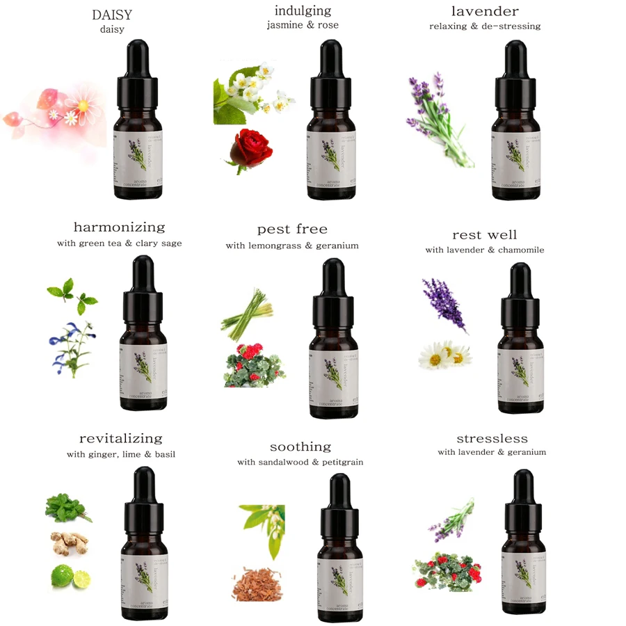 

New Water-soluble Oil Essential Oils for Aromatherapy Lavender Oil Humidifier Oil with 12 Kinds of Fragrance Rose