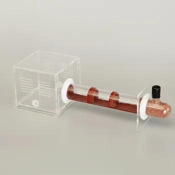 

Bamboo Nest Pet Ant Test Tube Nest Concrete Ant Nest Ecological Workshop Multi Specification Ant Area Ant Nest Acrylic