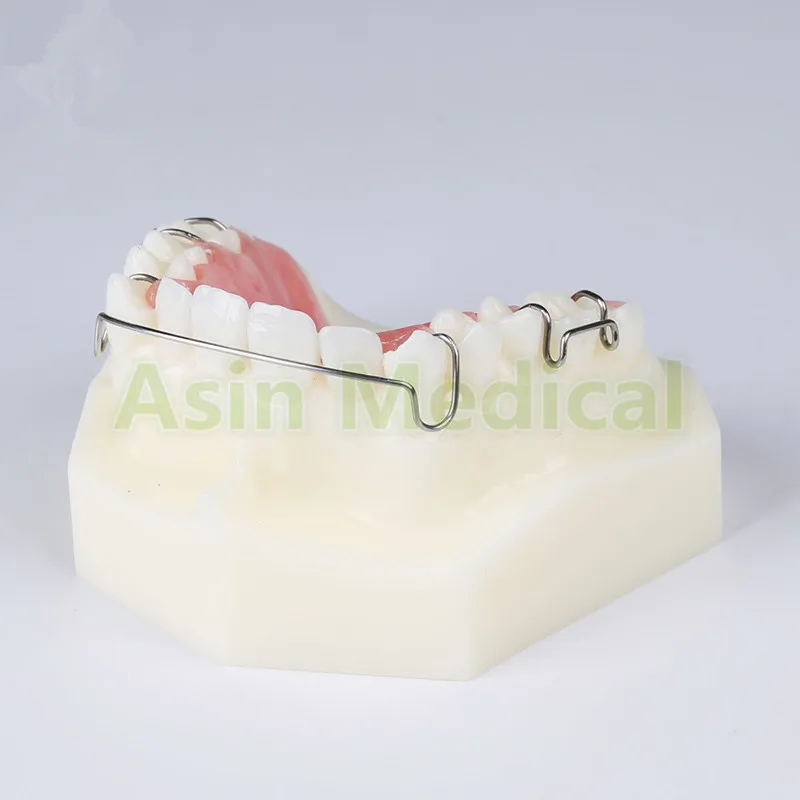 New Arrival 1 Pcs Dental Orthodontic Appliance Model With Teeth Trainer Retainer Braces Teaching and Science New Arrival 1 Pcs Dental Orthodontic Appliance Model With Teeth Trainer Retainer Braces Teaching and Science