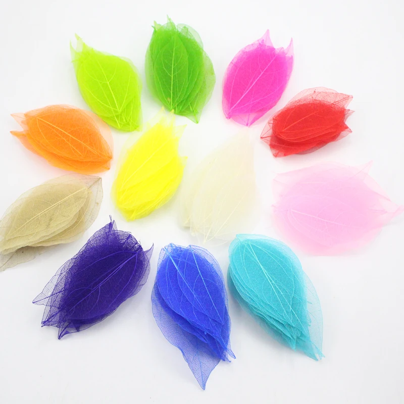 

Lucia crafts 40pcs/100pcs 6.5*3cm Random mixed color Natural skeleton leaves for Party Home Decor DIY Handmade Materials C0702