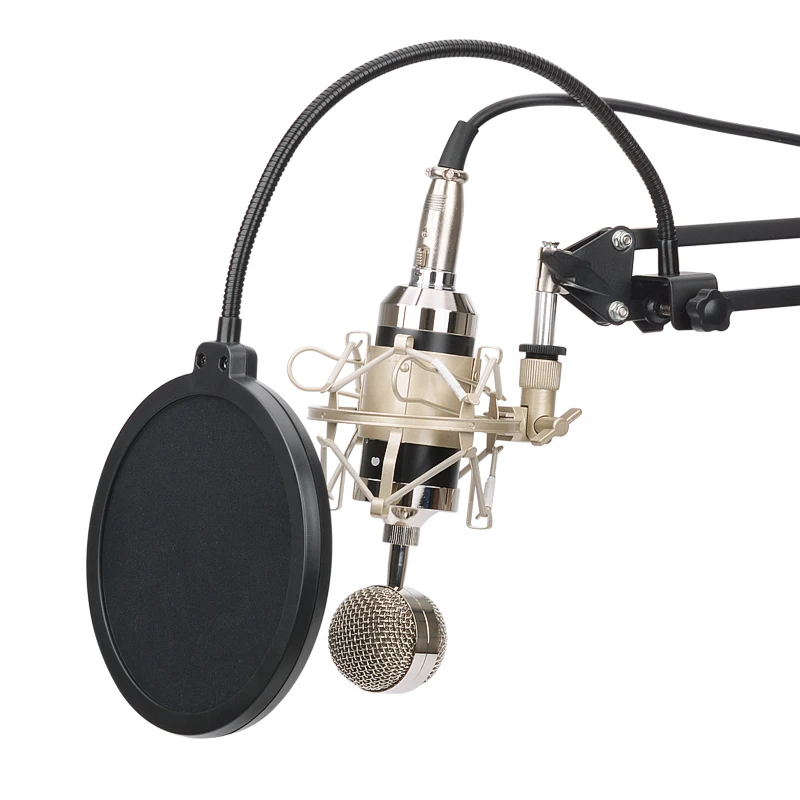 

BM-8000 Professional Studio Recording Condenser Microphone With 3.5mm Plug Stand Holder With Stand Holder