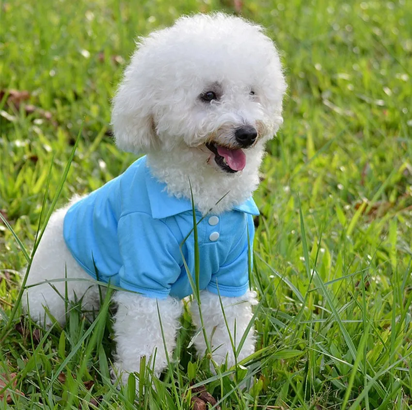 Летняя рубашка для щенка, маленькая собака, кошка, одежда для домашних животных, костюм, одежда, футболка