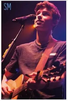

SHAWN MENDES Art Wall Decor Silk Print Poster