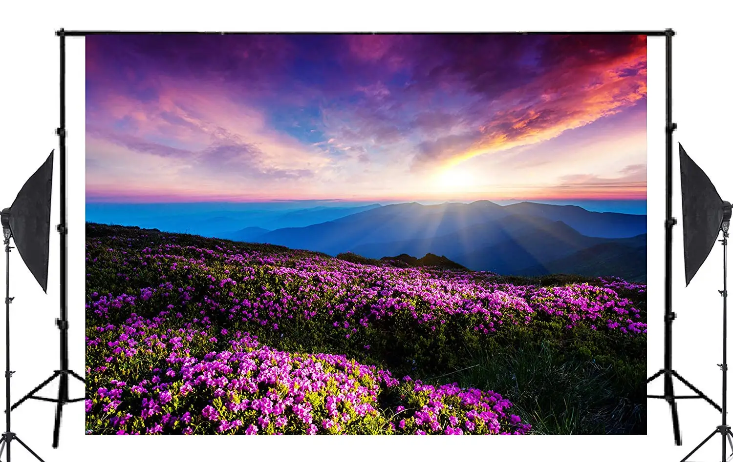 7x5ft Beautiful Flowers Photography Background Sun Rise Colorful clouds Backdrop Romantic Wedding Photo Studio Backdrop